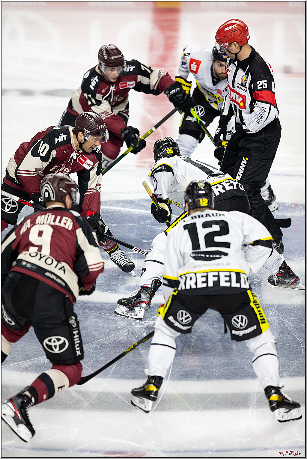 PENNY DEL;  Koelner Haie - Krefeld Pinguine; Koeln, 24.02.2021